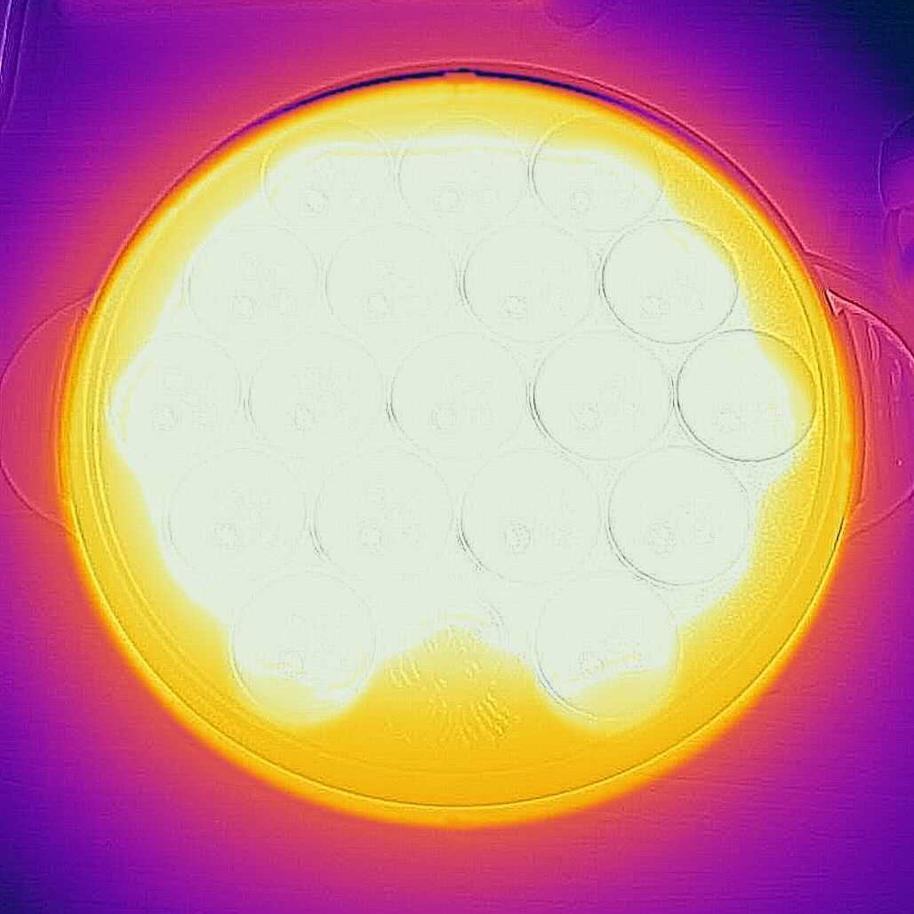 ニトリ 電気たこ焼き器 アミーを全21商品と比較 口コミや評判を実際に使ってレビューしました Mybest