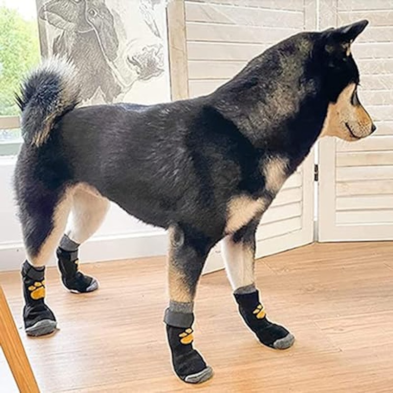 ペット用靴下 4
