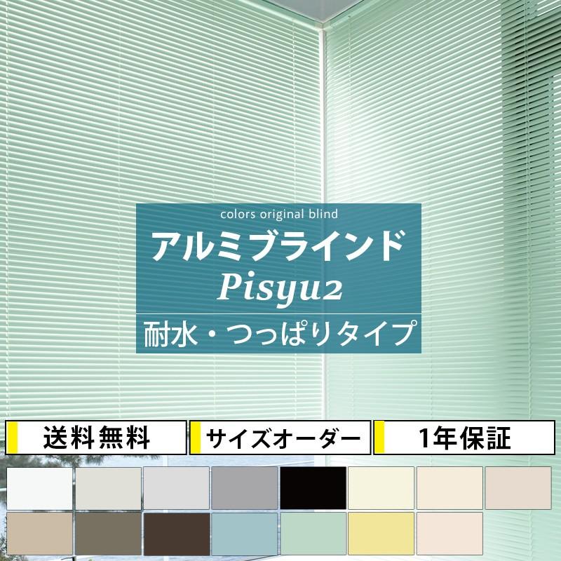 Pisyu2 1