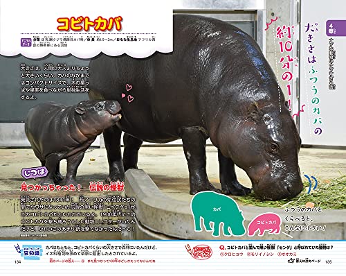 動物園へ行こう！ 6