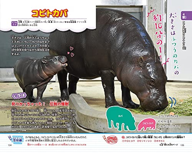 動物園へ行こう! 6