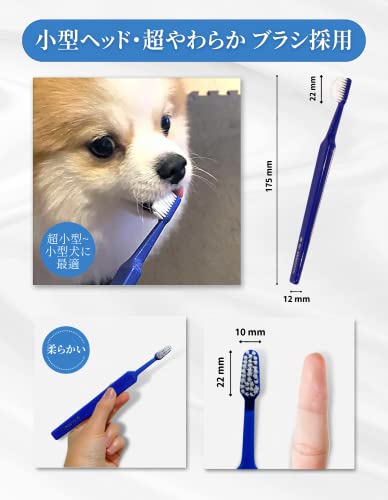 ドクターゲキオチ 2
