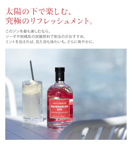 ウォーターメロンジン 6