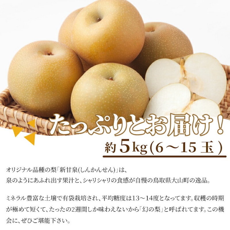 新甘泉梨 4
