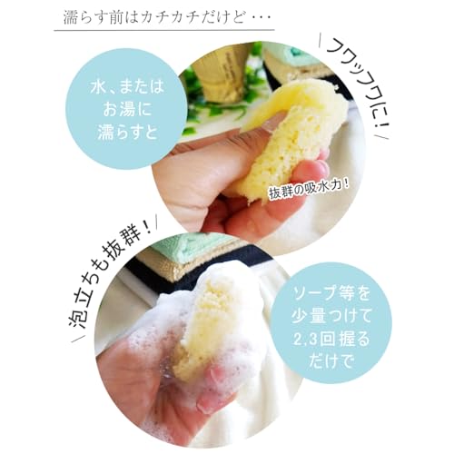 海綿 ジップロック袋付き 6