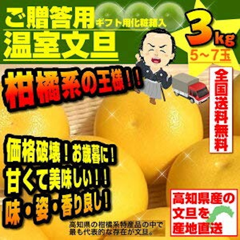 ハウス文旦 高知産 3