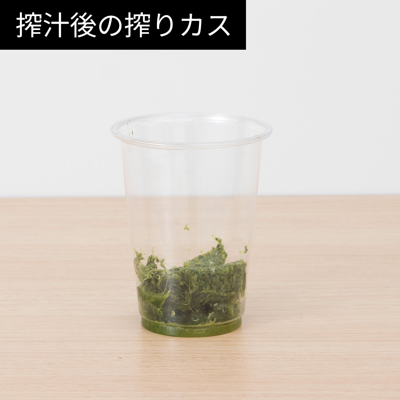 スロージューサー 13