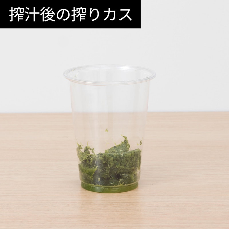 スロージューサー 13