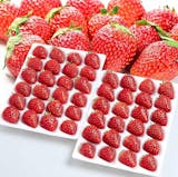 贈答用いちごのおすすめ人気ランキング【2026年9月】 2