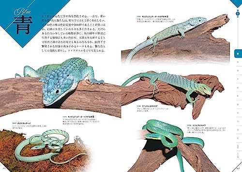 色彩別 爬虫類・両生類図鑑 3