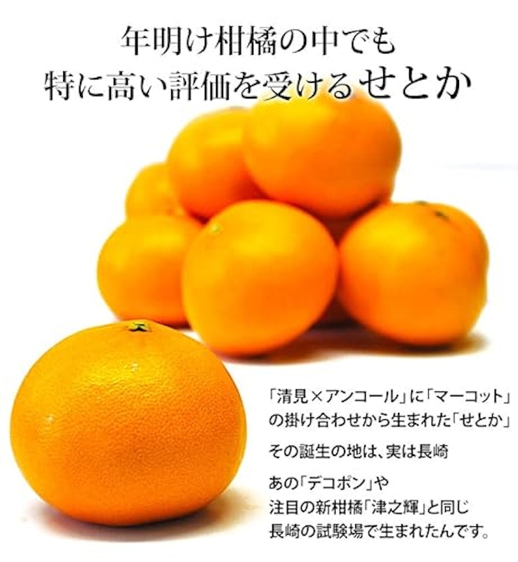 愛媛県産せとか 2