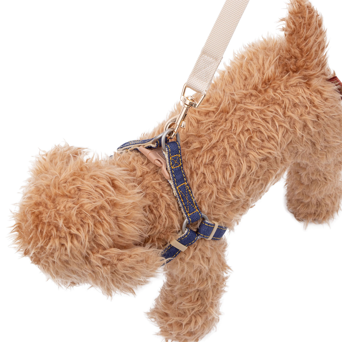 Doggy’s Tailor ドッグハーネス（どうわ） 6