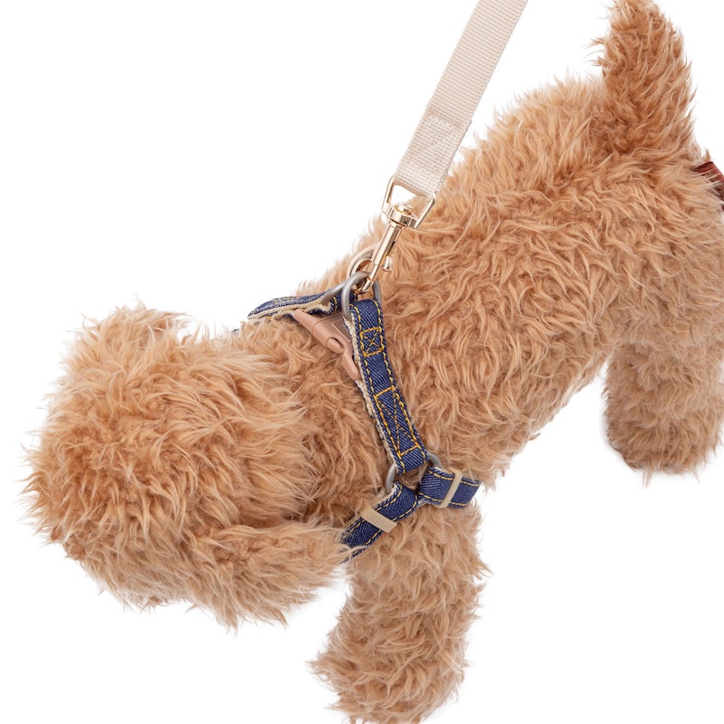 Doggy’s Tailor ドッグハーネス(どうわ) 6