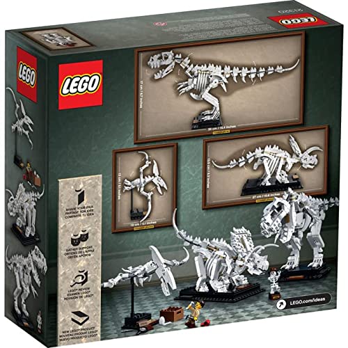 大人向けレゴのおすすめ人気ランキング【2025年】 | マイベスト