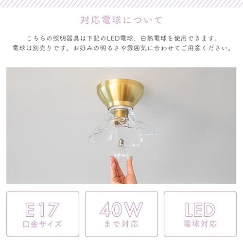 pelata シーリングライト 6