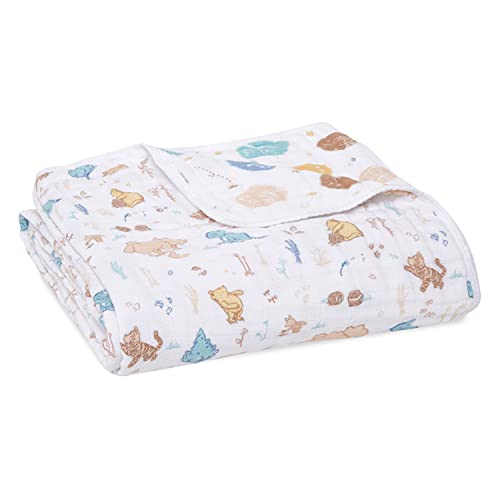 classic dream blanket 1