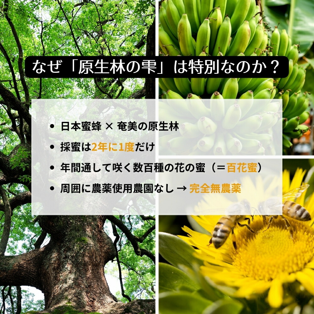 原生林の雫 生はちみつ 4