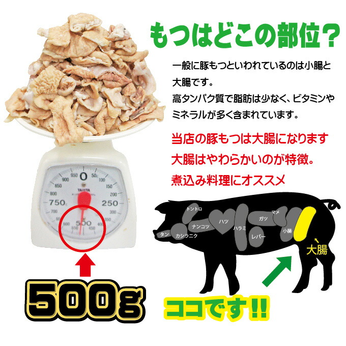  国産 豚もつ大腸  2
