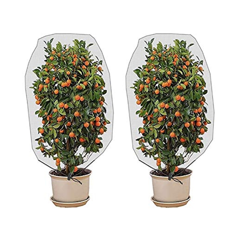 植物保護カバー 3
