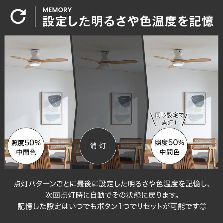 シーリングファンライト 9