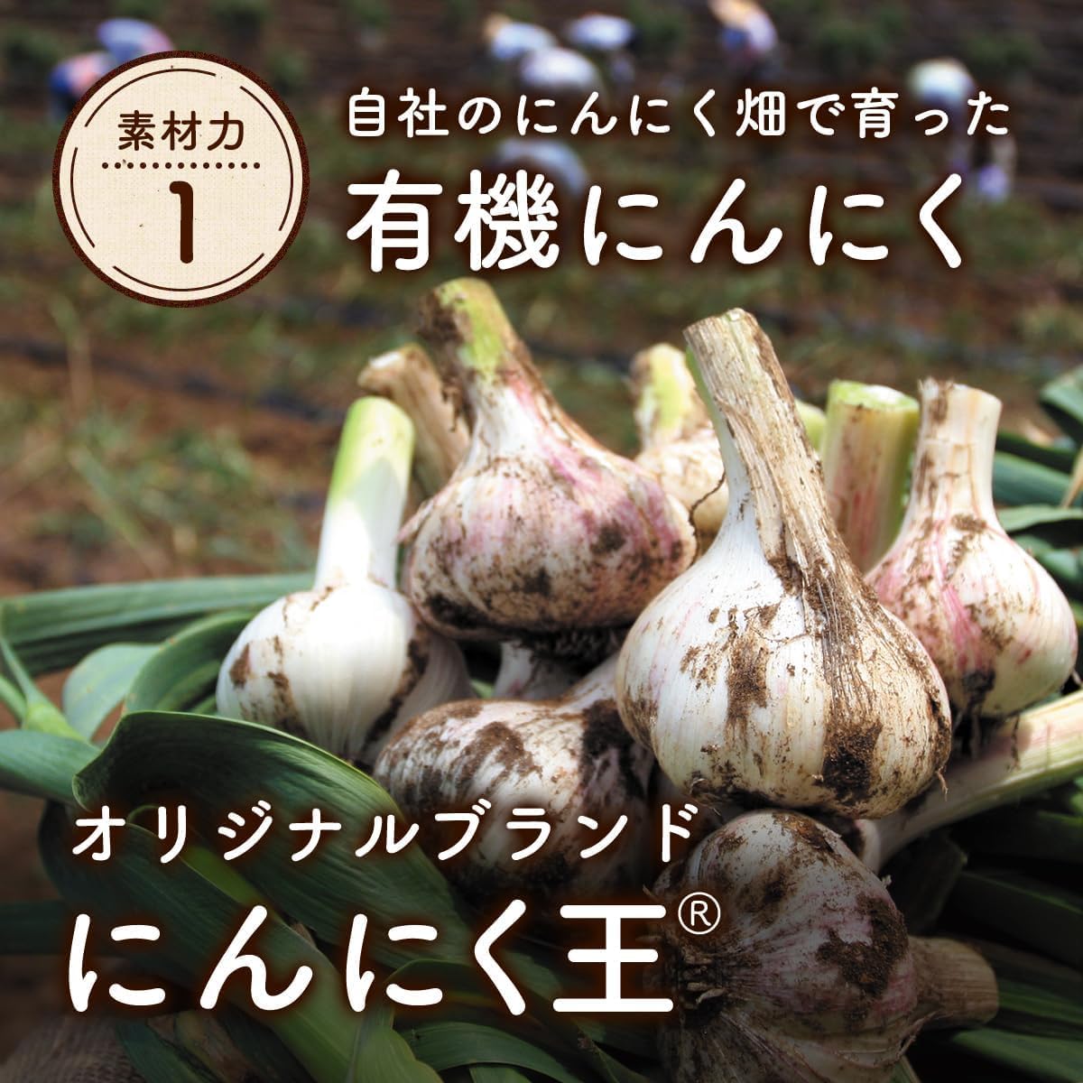  伝統にんにく卵黄 2