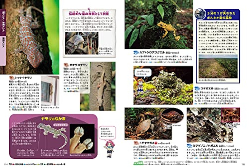 角川の集める図鑑GET! は虫類・両生類 6