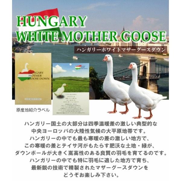 2枚合わせ 日本製羽毛布団 4