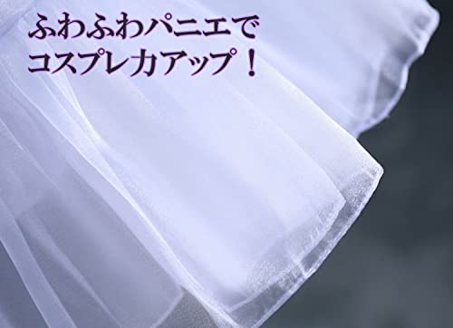 パニエチュール 5
