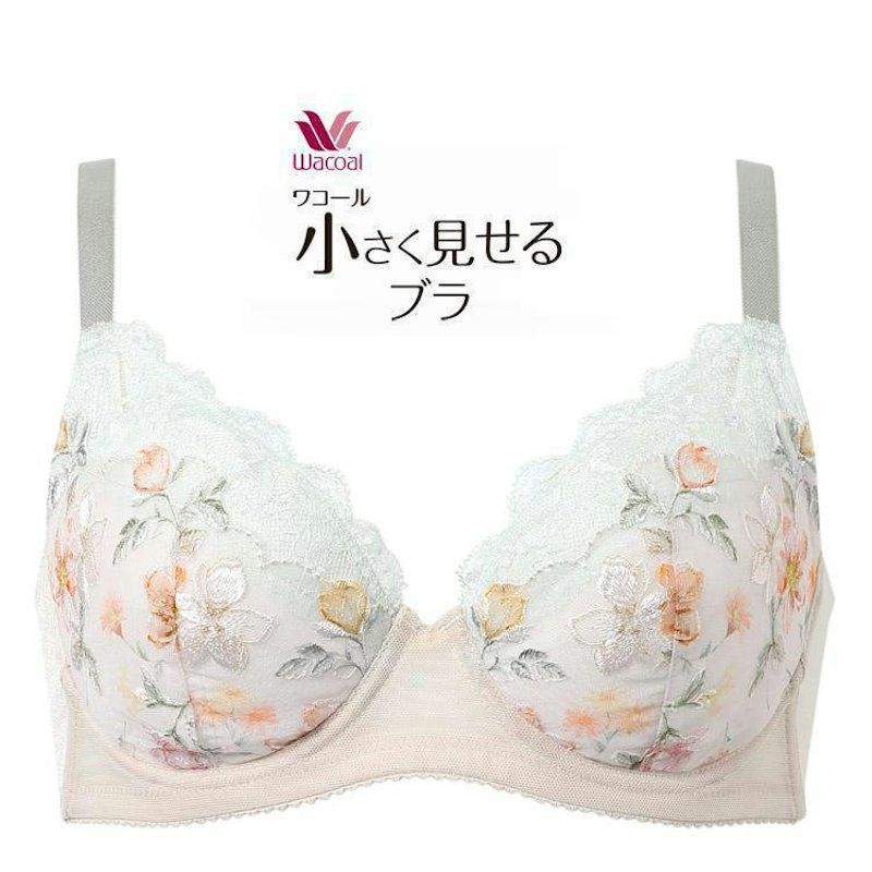 シャツもすっきり着こなす 小さく見せるブラ 1
