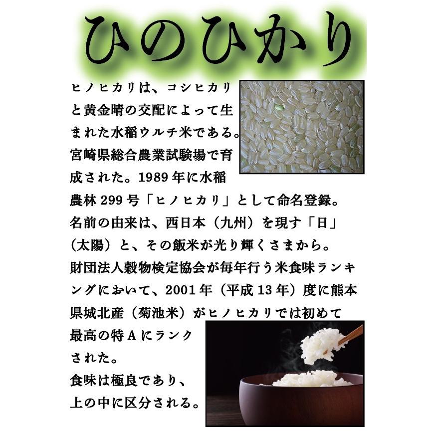 熊本県産 ひのひかり 4