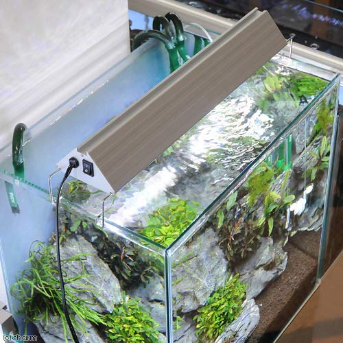 TRIANGLE LED GROW 3