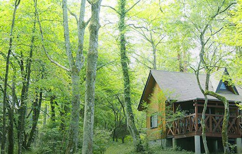 小田急山中湖フォレストコテージ 1