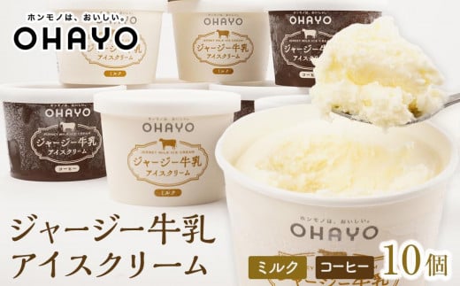 オハヨー乳業 ジャージー牛乳アイスクリーム 1