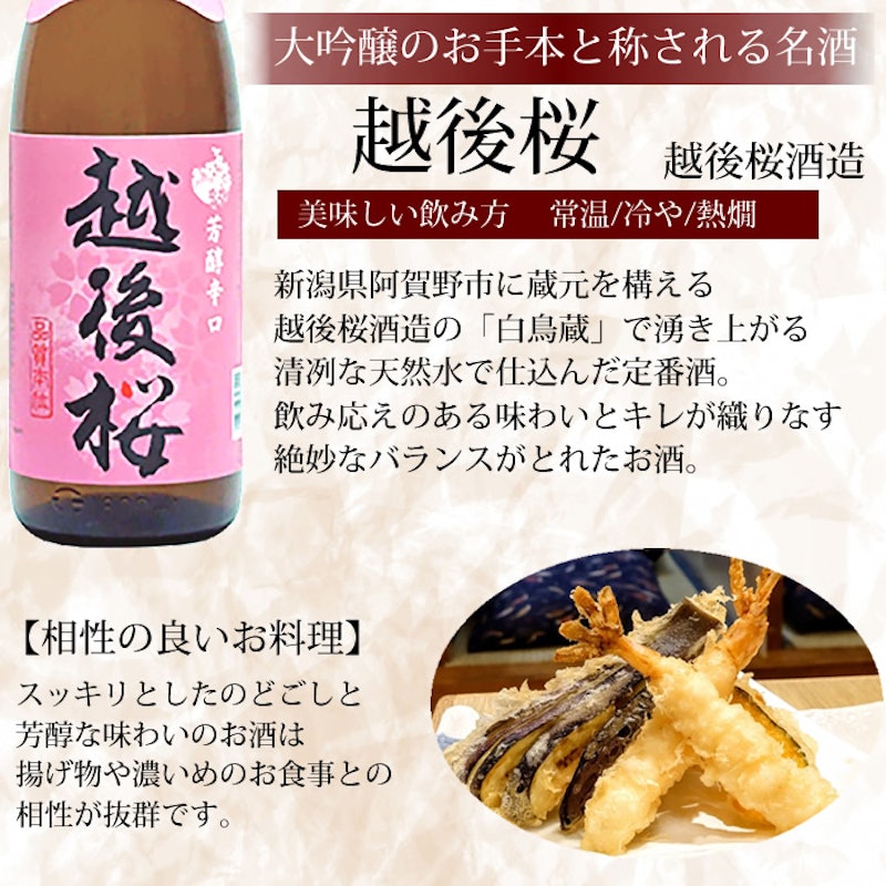 日本酒 5本飲み比べセット 10