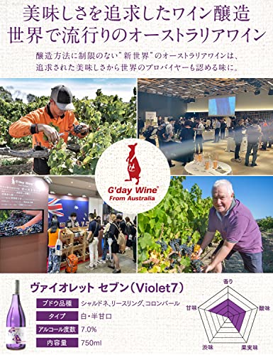 ヴァイオレットセブン 6