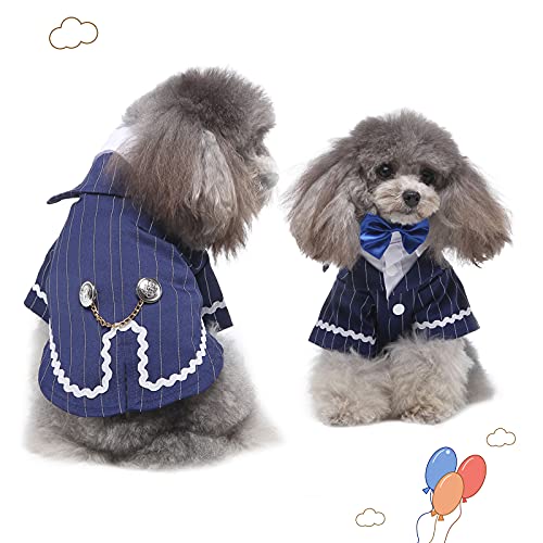 犬用タキシード 3