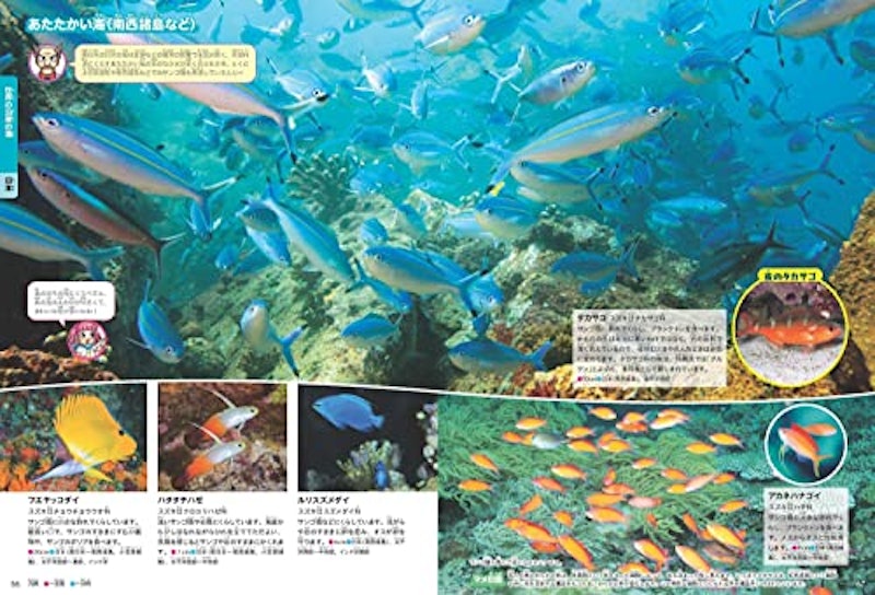 角川の集める図鑑GET!!魚 3