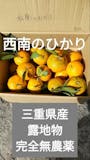 無農薬みかんのおすすめ人気ランキング【2026年6月】 2