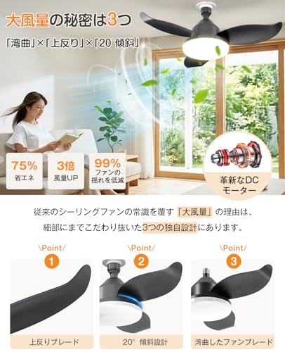 シーリングファンライト 3