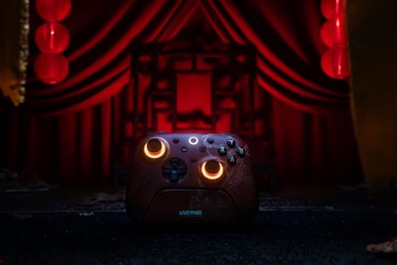 Wireless Controller - WUCHANG: Fallen Feathers 10
