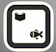 hirofumi yamada さかな図鑑 世界の品種 1