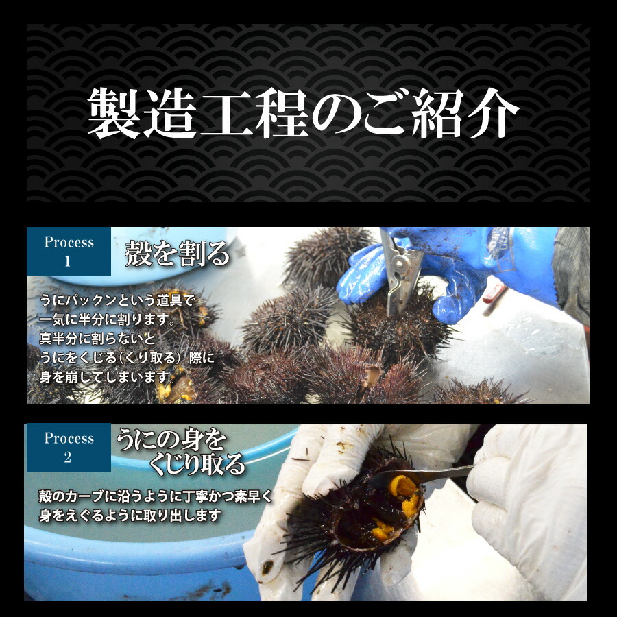 北海道産塩水ムラサキウニ 8