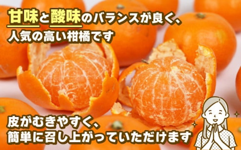 温州みかん 早生 3