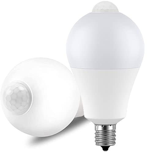 LED電球 1