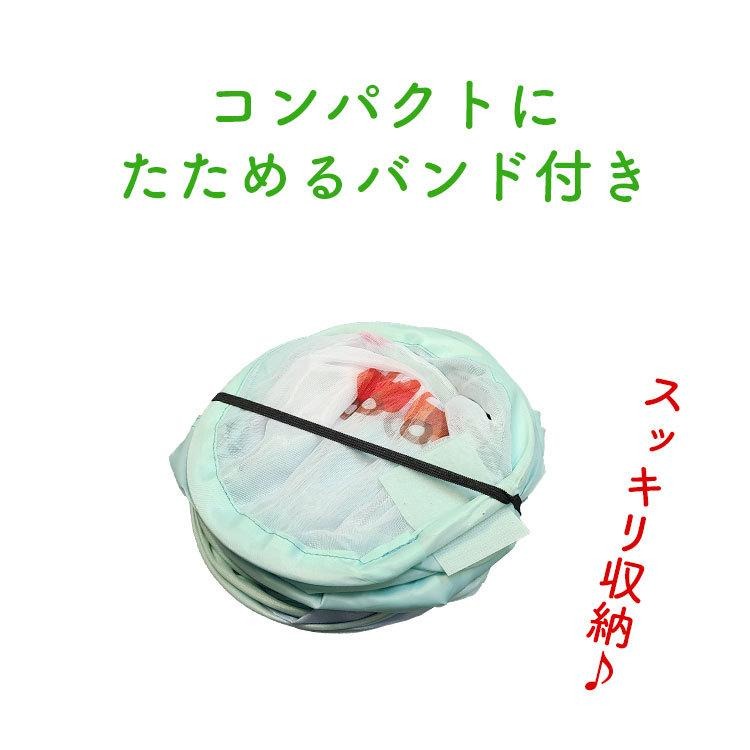ボールプール 3