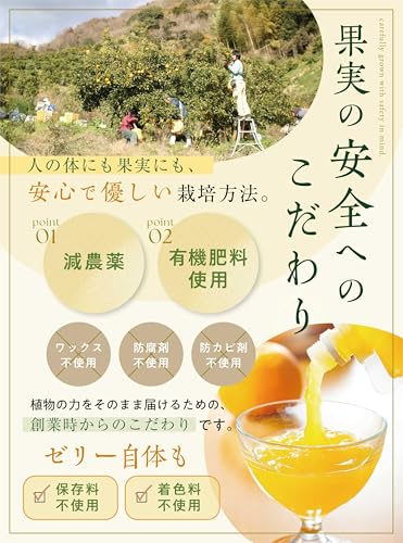 なちゅるん 和歌山県産 飲むジェリー 6