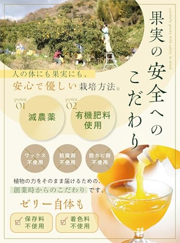 なちゅるん 和歌山県産 飲むジェリー 6