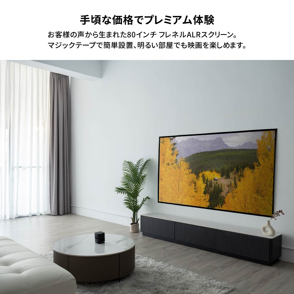 フレネル ALR スクリーン 2