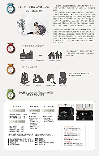 ドリーム 6