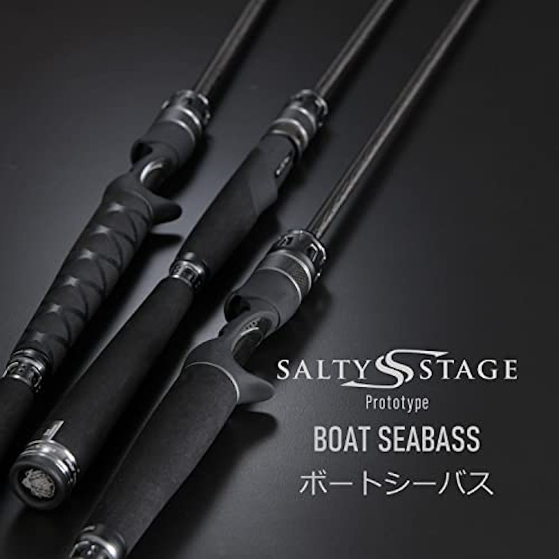ボートシーバス 2